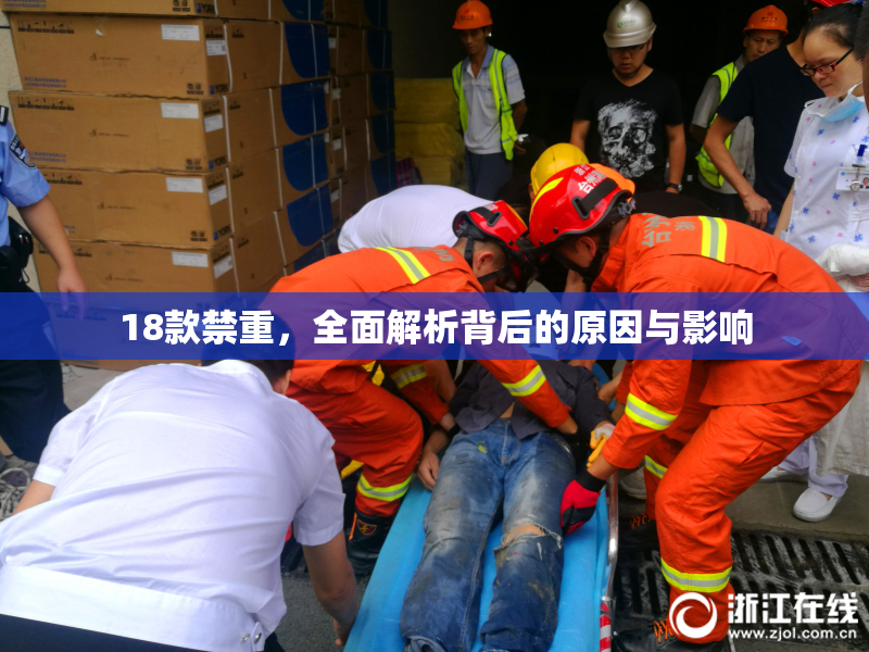 18款禁重，全面解析背后的原因与影响