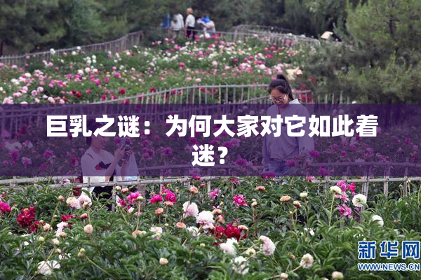 巨乳之谜：为何大家对它如此着迷？
