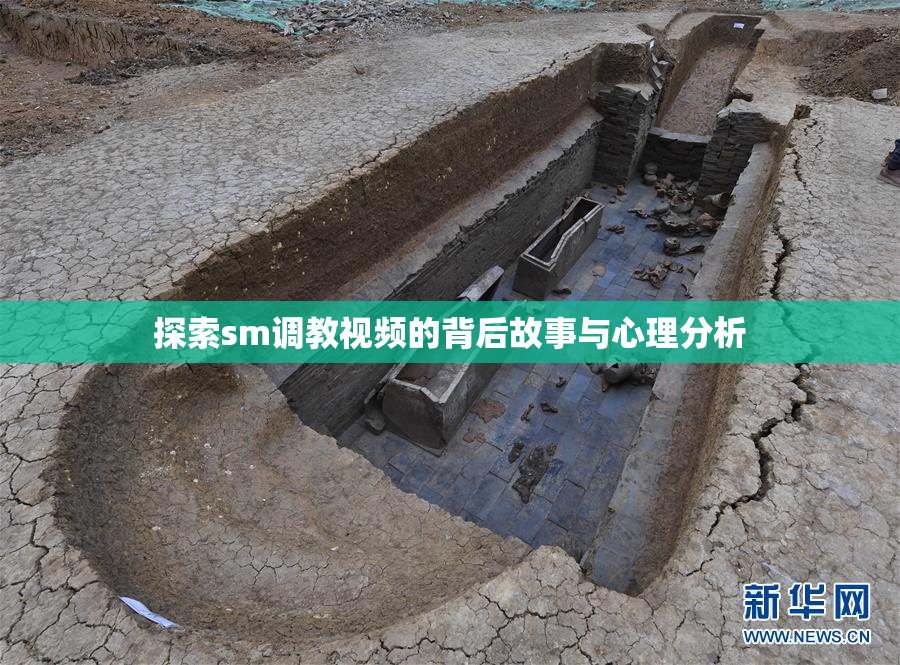 探索sm调教视频的背后故事与心理分析