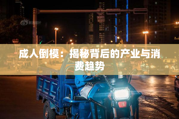 成人倒模：揭秘背后的产业与消费趋势