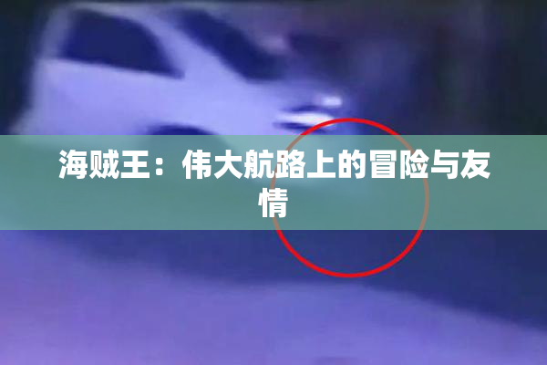 海贼王：伟大航路上的冒险与友情