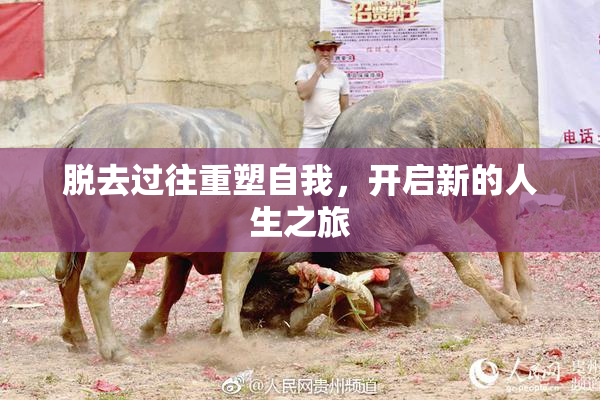 脱去过往重塑自我，开启新的人生之旅