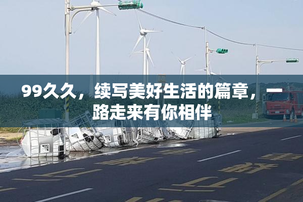99久久，续写美好生活的篇章，一路走来有你相伴