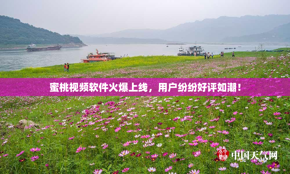 蜜桃视频软件火爆上线，用户纷纷好评如潮！