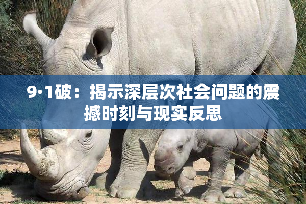 9·1破：揭示深层次社会问题的震撼时刻与现实反思