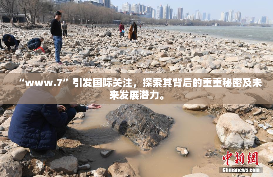 “www.7”引发国际关注，探索其背后的重重秘密及未来发展潜力。