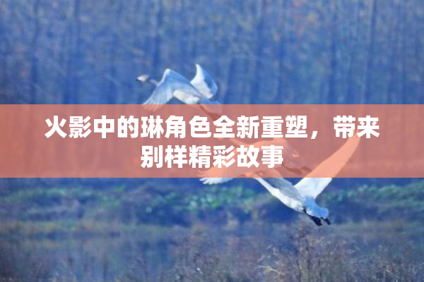 火影中的琳角色全新重塑，带来别样精彩故事