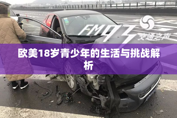 欧美18岁青少年的生活与挑战解析
