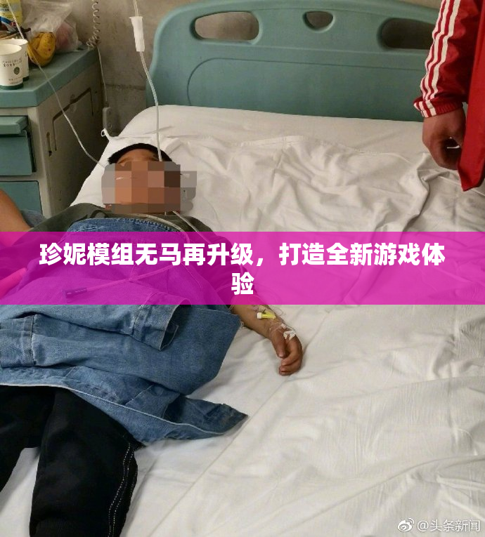 珍妮模组无马再升级，打造全新游戏体验