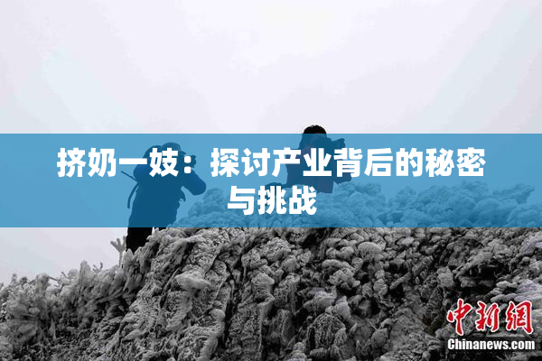 挤奶一妓：探讨产业背后的秘密与挑战