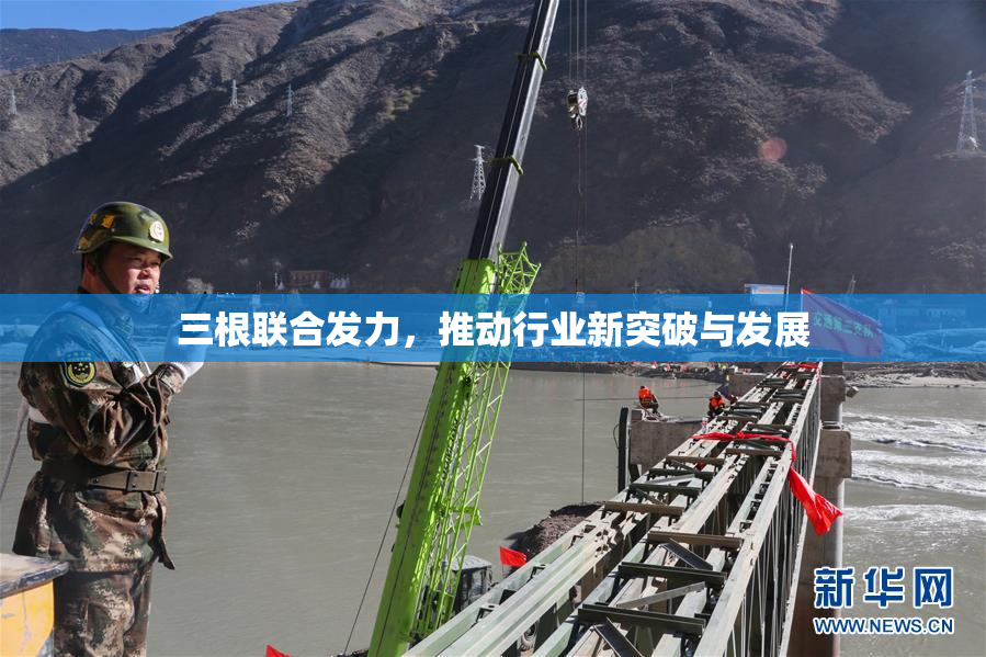 三根联合发力，推动行业新突破与发展