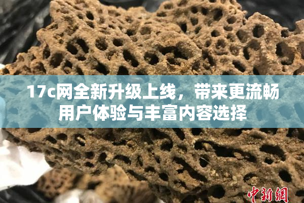 17c网全新升级上线，带来更流畅用户体验与丰富内容选择