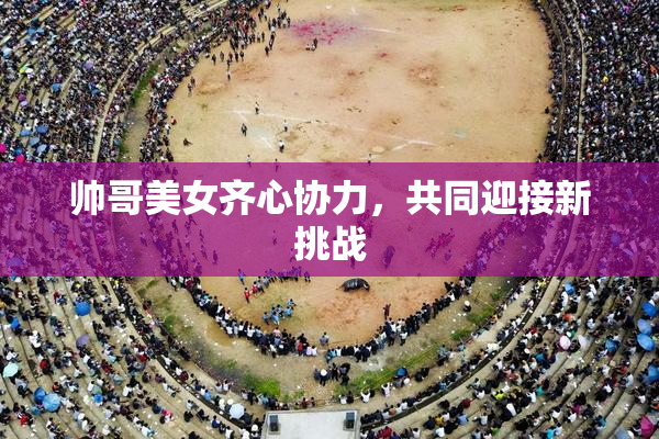 帅哥美女齐心协力，共同迎接新挑战