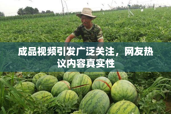 成品视频引发广泛关注，网友热议内容真实性