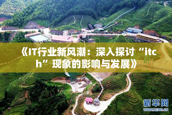 《IT行业新风潮：深入探讨“itch”现象的影响与发展》