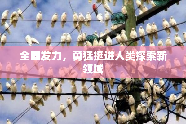全面发力，勇猛挺进人类探索新领域