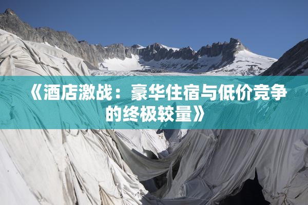 《酒店激战：豪华住宿与低价竞争的终极较量》
