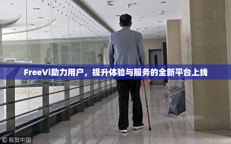 FreeVi助力用户，提升体验与服务的全新平台上线