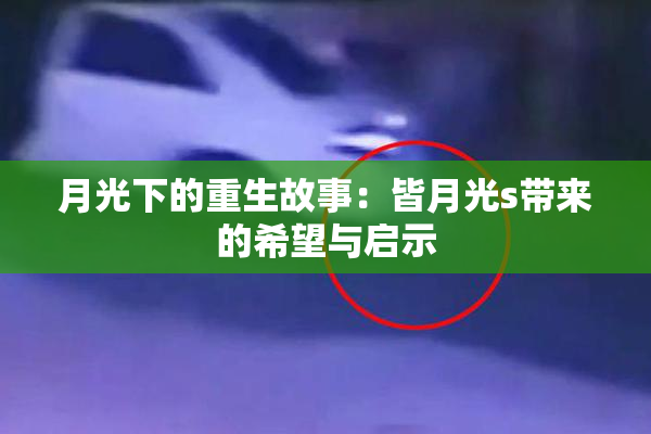 月光下的重生故事：皆月光s带来的希望与启示