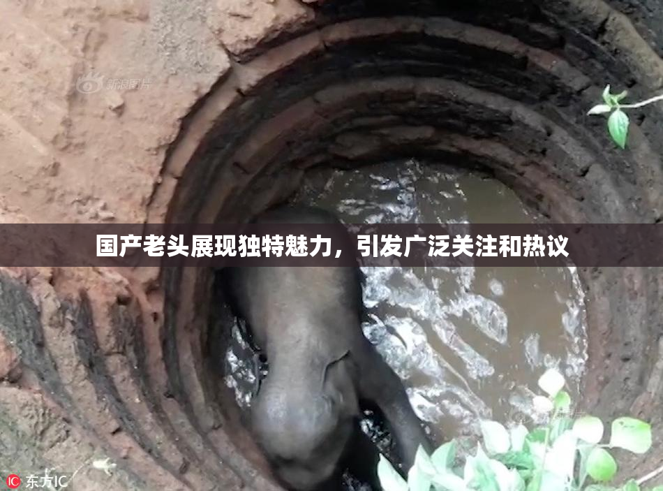 国产老头展现独特魅力，引发广泛关注和热议