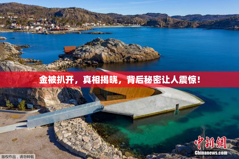 金被扒开，真相揭晓，背后秘密让人震惊！