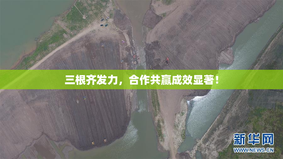 三根齐发力，合作共赢成效显著！