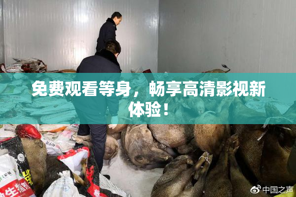 免费观看等身，畅享高清影视新体验！