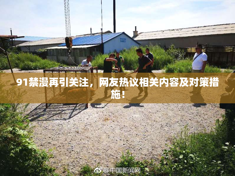 91禁漫再引关注，网友热议相关内容及对策措施！