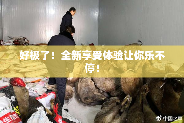 好极了！全新享受体验让你乐不停！