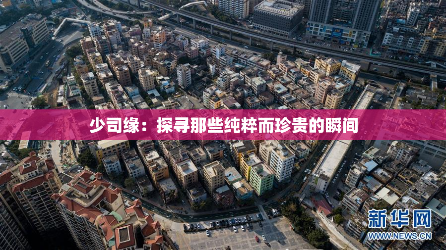 少司缘：探寻那些纯粹而珍贵的瞬间