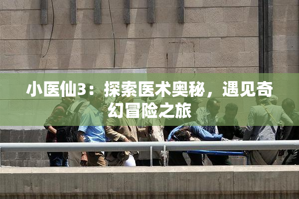 小医仙3：探索医术奥秘，遇见奇幻冒险之旅