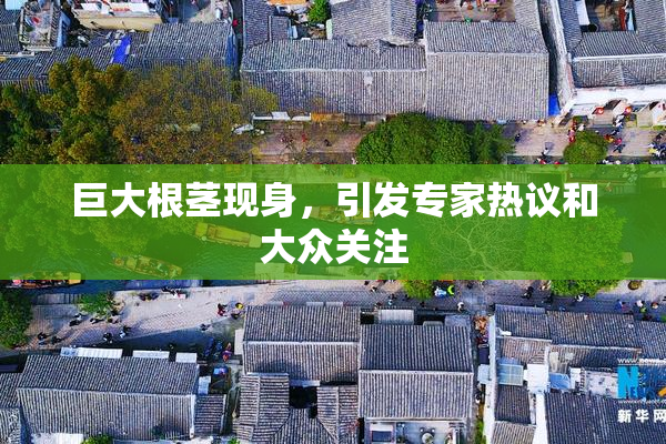 巨大根茎现身，引发专家热议和大众关注