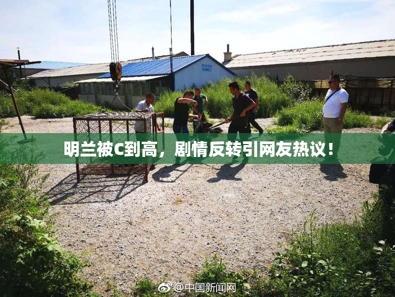 明兰被C到高，剧情反转引网友热议！