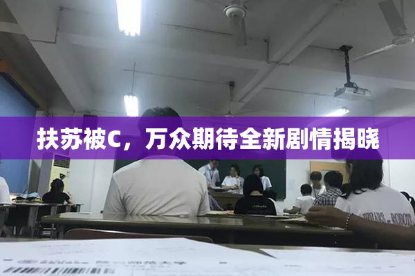 扶苏被C，万众期待全新剧情揭晓