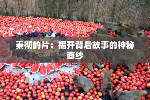 秦彻的片：揭开背后故事的神秘面纱