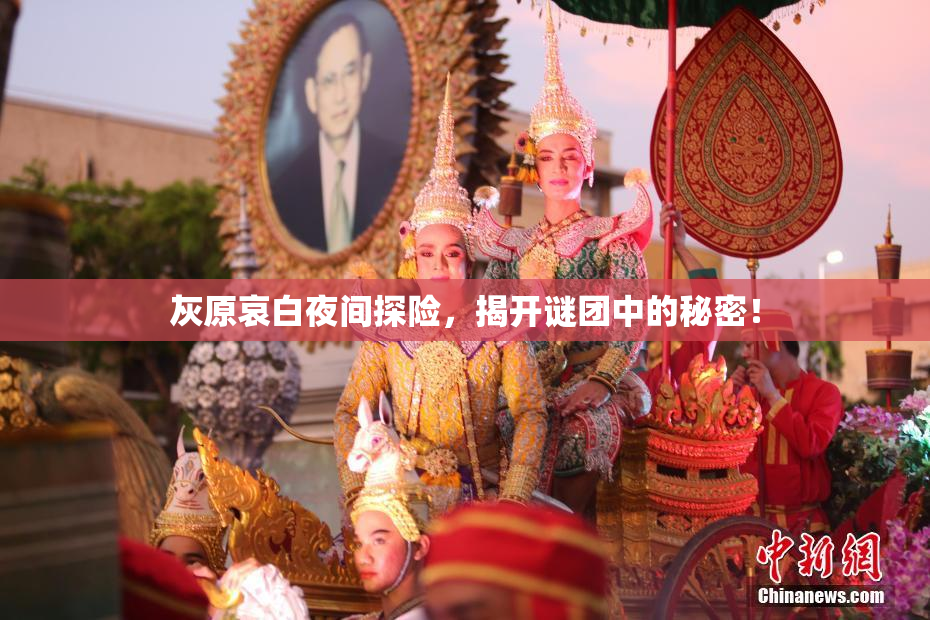 灰原哀白夜间探险，揭开谜团中的秘密！