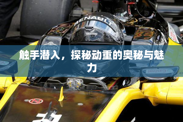 触手潜入，探秘动重的奥秘与魅力
