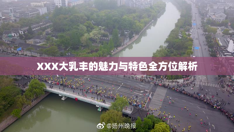 XXX大乳丰的魅力与特色全方位解析