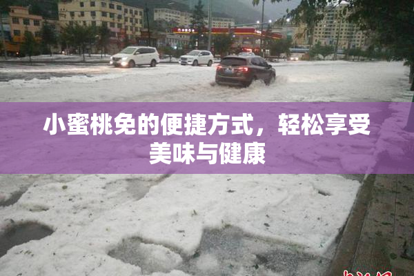 小蜜桃免的便捷方式，轻松享受美味与健康