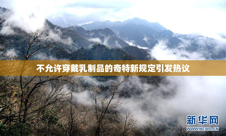 不允许穿戴乳制品的奇特新规定引发热议