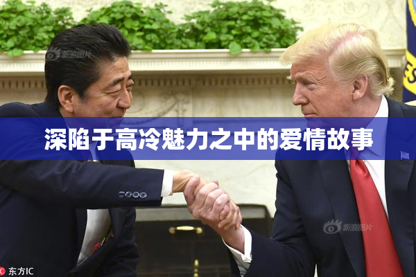深陷于高冷魅力之中的爱情故事