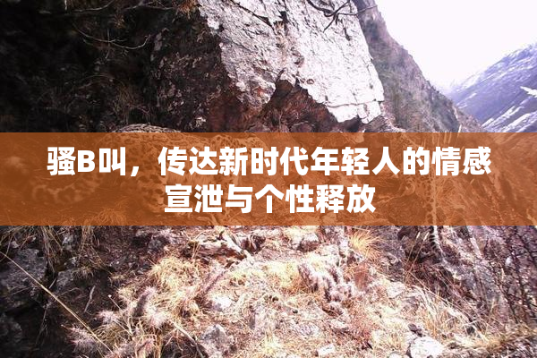 骚B叫，传达新时代年轻人的情感宣泄与个性释放
