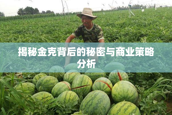 揭秘金克背后的秘密与商业策略分析