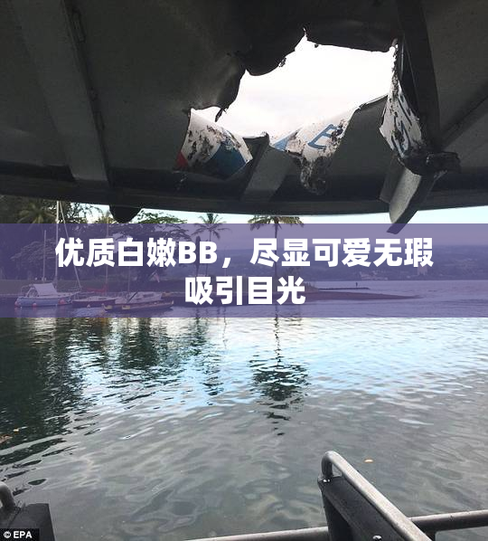 优质白嫩BB，尽显可爱无瑕吸引目光