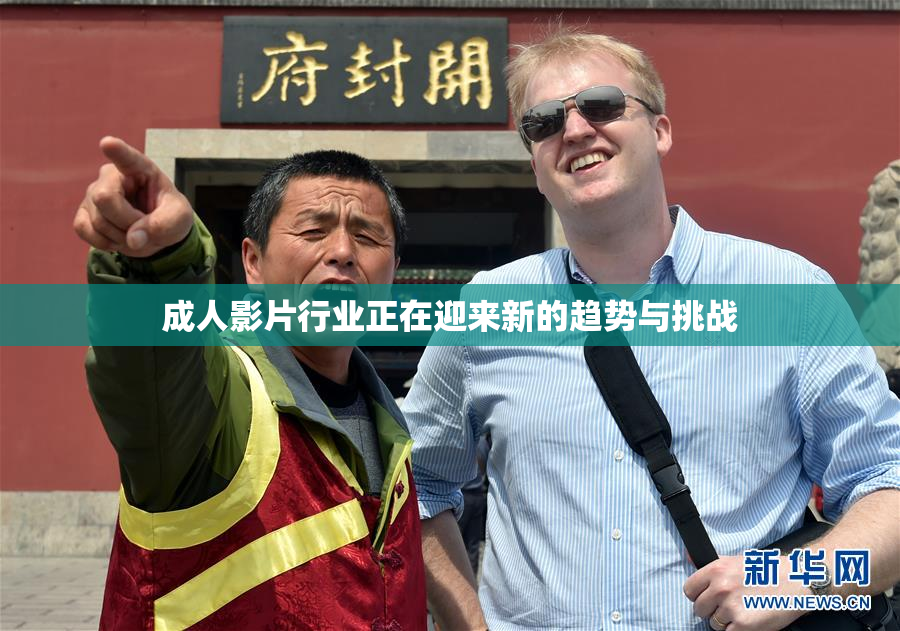 成人影片行业正在迎来新的趋势与挑战