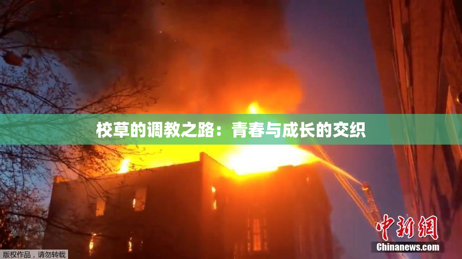 校草的调教之路：青春与成长的交织