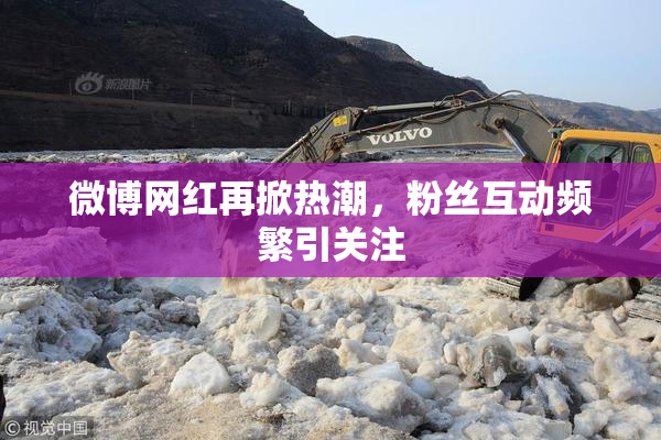 微博网红再掀热潮，粉丝互动频繁引关注