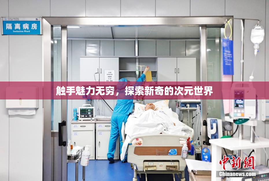 触手魅力无穷，探索新奇的次元世界