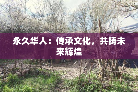 永久华人：传承文化，共铸未来辉煌