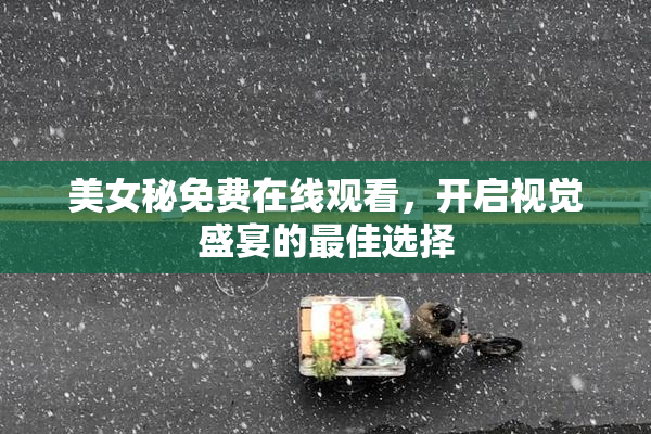 美女秘免费在线观看，开启视觉盛宴的最佳选择